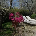 Bed & Breakfast La Casetta Di Ben